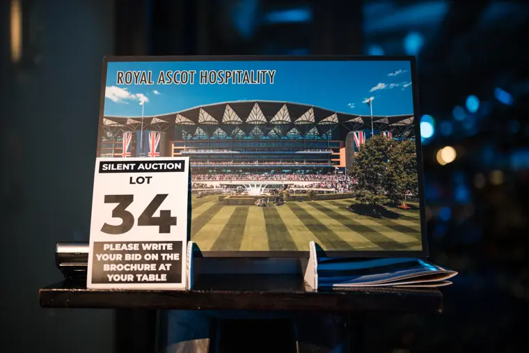 A cricket-themed auction prize on display.