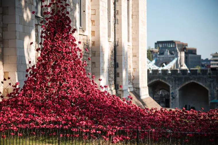 Red poppies cascading down the Tower wall at the Chambers High Net Worth Awards 2025.